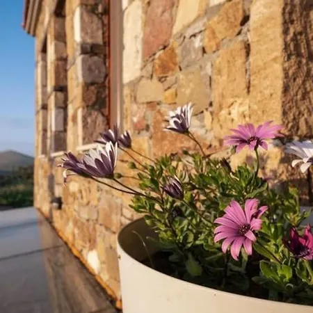 Tatil Evi Sunset - Tas Ev 1- Xl Bozcaada