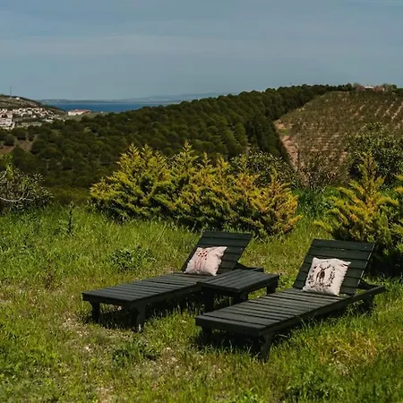 Tatil Evi Sunset - Tas Ev 1- Xl *